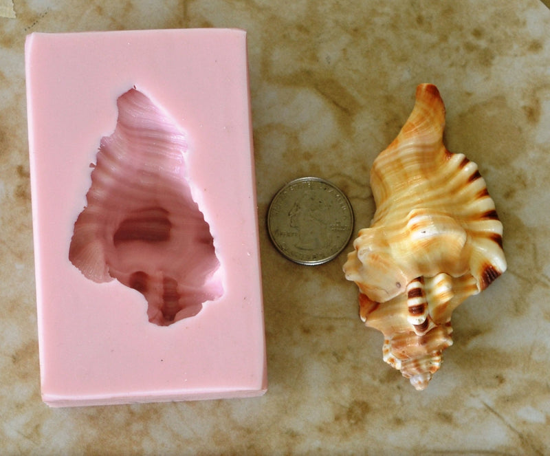Shell Silicone Mold, Epoxy, Beach, Nautilus, Scallop, Chocolate molds, ocean, seashells, Scallop, sand dollar, shell shop  N171