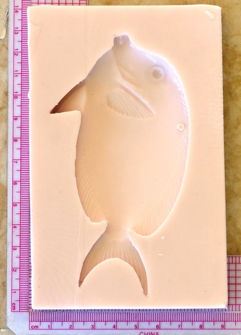 Fish Silicone Mold, resin, Fish, Clay, Epoxy, food grade, Ocean fish, deepwater fish, Chocolate, Candy, Cake, freshwater fish  N199