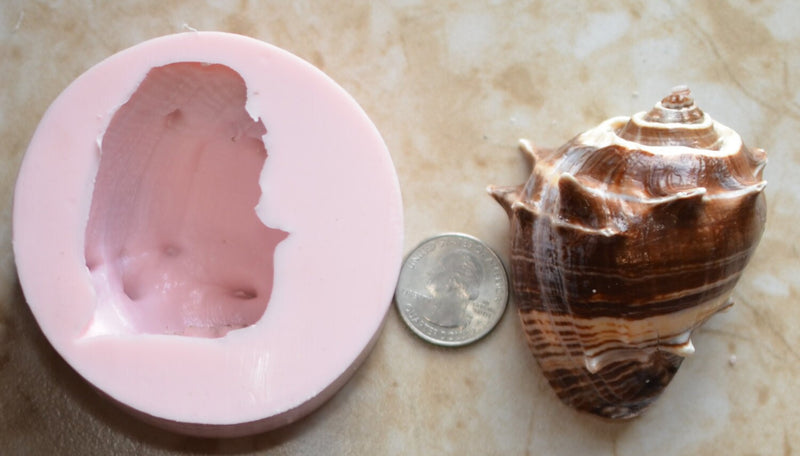 Shell Silicone Mold, Epoxy, Beach, Nautilus, Scallop, Chocolate molds, ocean, seashells, Scallop, sand dollar, shell shop  N303