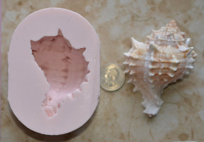 Shell Silicone Mold, Epoxy, Beach, Nautilus, Scallop, Chocolate molds, ocean, seashells, Scallop, sand dollar, shell shop  N346