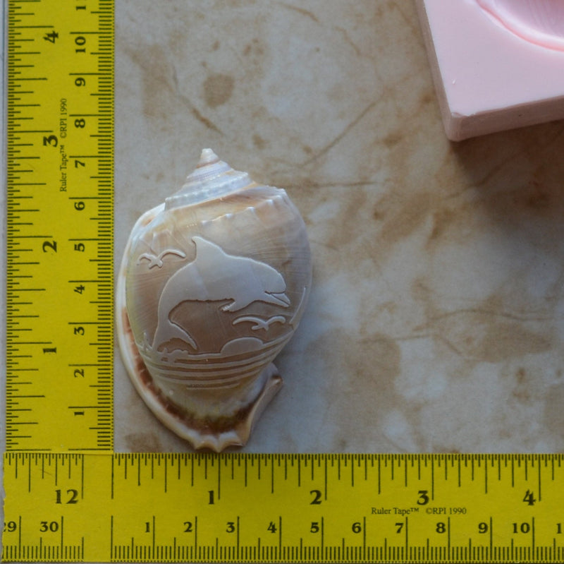 Dolphin 1 Shell Mold Silicone Mold, Shell Silicone Mold, Epoxy, Beach, Nautilus, Scallop, Chocolate molds, ocean, seashells, N352
