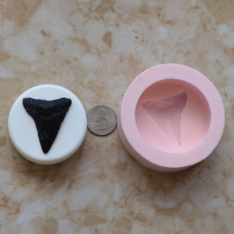Shark Tooth Soap Mold  2-1/2'" Diameter x 3/4", Soap mold, Round molds, Square molds, Rectangular mold, Octagon, Soaps SM277
