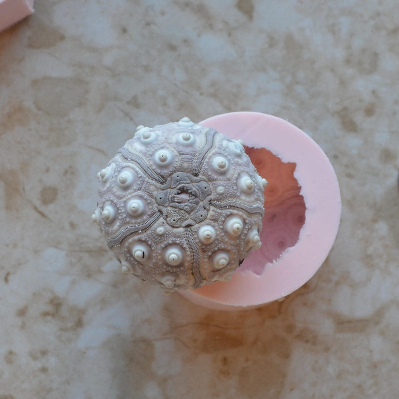 Sea Urchin silicone mold, Sea urchins, Molds, Clay, Crafts, Resin, molds, invertebrate animals, Pedicellariae, poisonous spines, N357