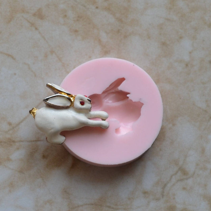 Rabbit Silicone Mold, Animal Silicone Mold, Resin, Clay, Epoxy, food grade, Chocolate molds, Resin, Clay, dogs, cats, fish, birds  A355