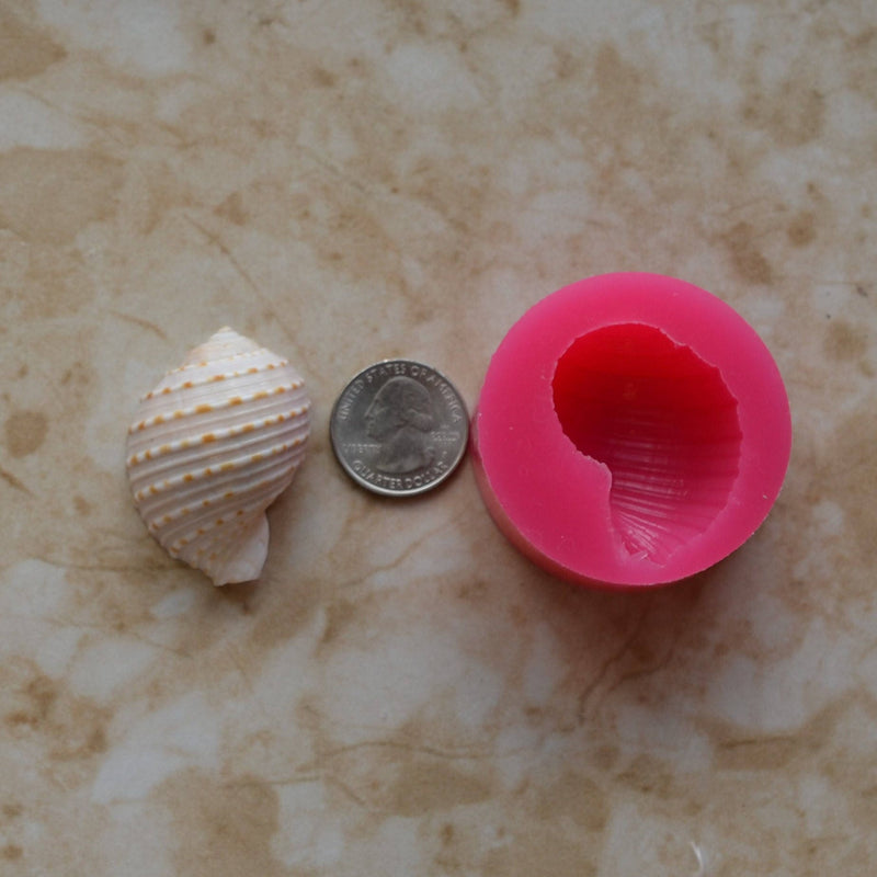 Shell Silicone Mold, Epoxy, Beach, Nautilus, Scallop, Chocolate molds, ocean, seashells, Scallop, sand dollar, shell shop  N464