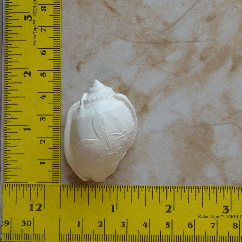 Shell Mold Pelican Silicone Mold, Molds, Silcone, Soap, Clay, Jewelry, Crafts, Resin, Nautical, Beach, Ocean N436-70