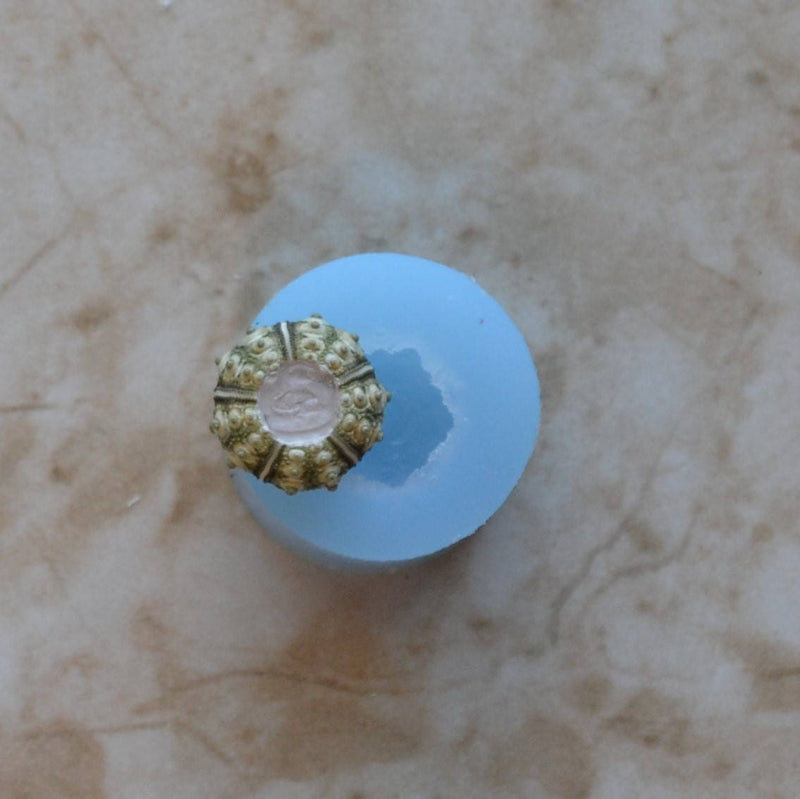 Sea Urchin silicone mold, Sea urchins, Molds, Clay, Crafts, Resin, molds, invertebrate animals, Pedicellariae, poisonous spines, N438