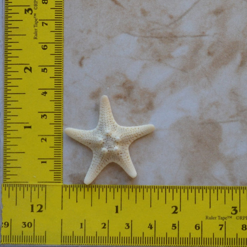Starfish Silicone Mold, Sea Stars, resin, invertebrates, Five arms, Mold, Silicone Mold, Molds, Clay, Jewelry, Chocolate molds, N441