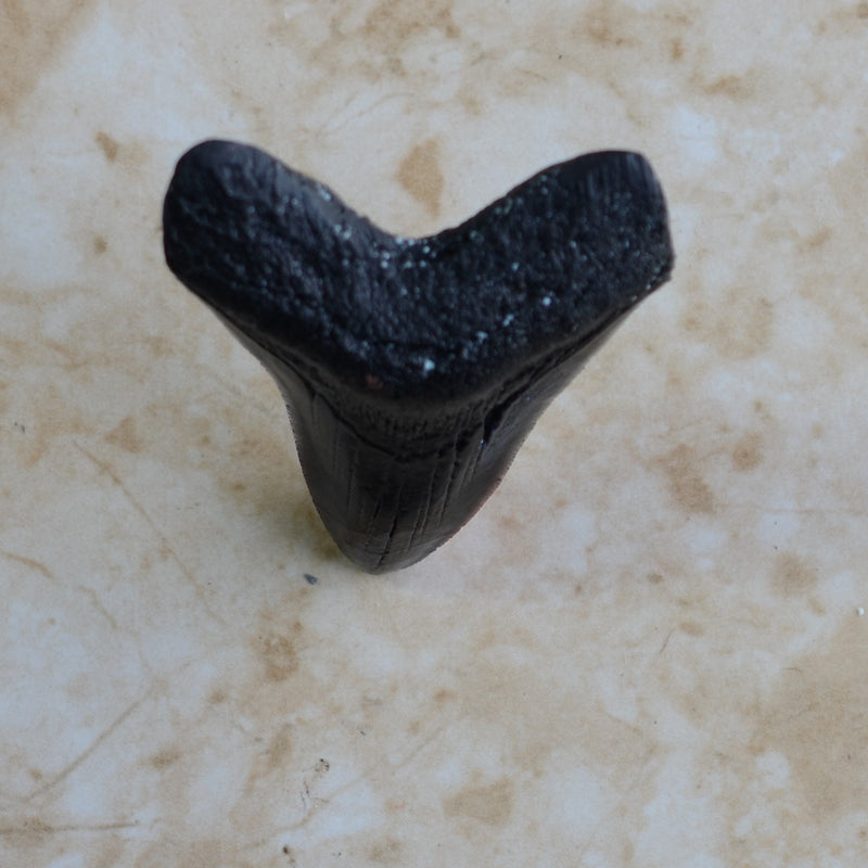 Shark tooth mold, megalodon, Shark, Shark teeth, Resin mold, Clay mold, Epoxy, molds, Ocean, Sea, Nautical, food grade, Chocolate mold N552