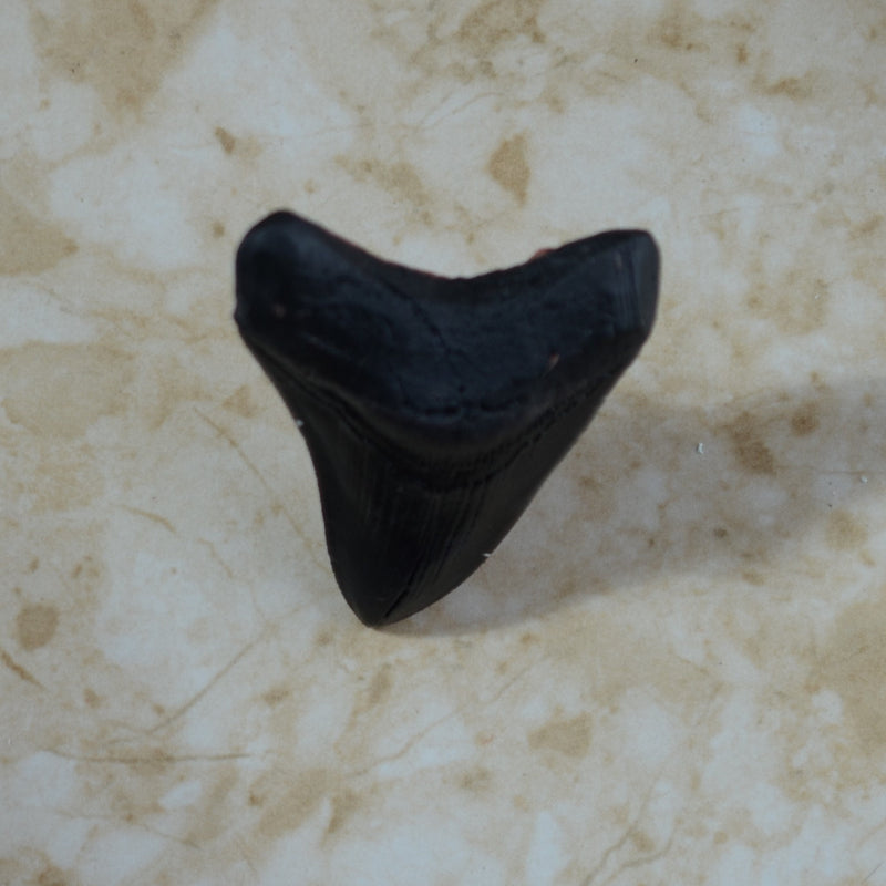 Shark tooth mold, megalodon, Shark, Shark teeth, Resin mold, Clay mold, Epoxy, molds, Ocean, Sea, Nautical, food grade, Chocolate mold N551