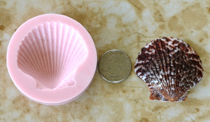 Shell Silicone Mold, Epoxy, Beach, Nautilus, Scallop, Chocolate molds, ocean, seashells, Scallop, sand dollar, shell shop  N150-1