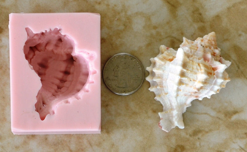 Shell Silicone Mold, Epoxy, Beach, Nautilus, Scallop, Chocolate molds, ocean, seashells, Scallop, sand dollar, shell shop  N152